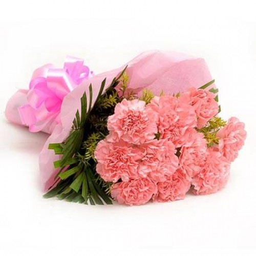Baby Pink Carnation Bunch delivery in Patna